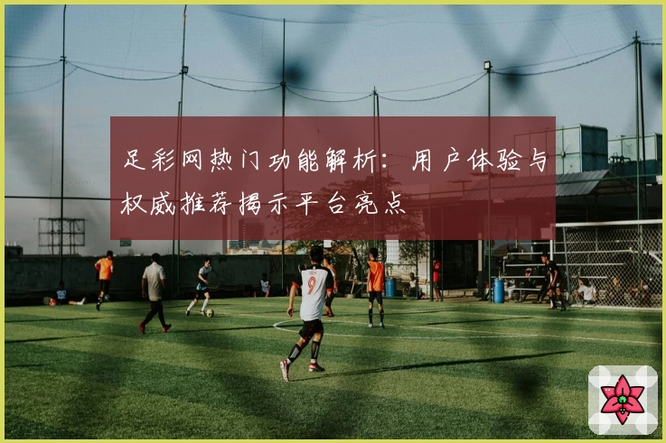 足彩网热门功能解析：用户体验与权威推荐揭示平台亮点