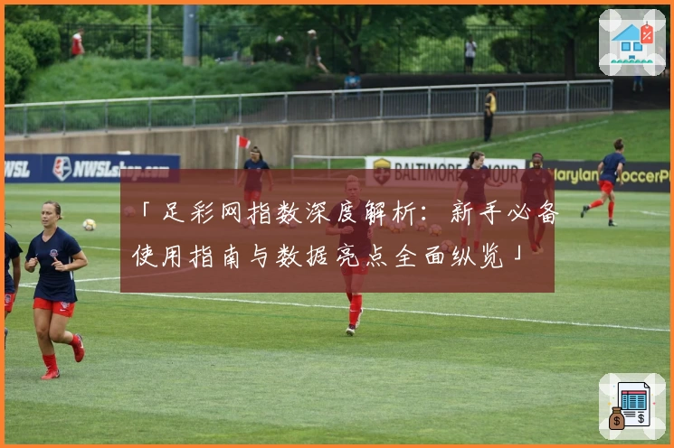 「足彩网指数深度解析：新手必备使用指南与数据亮点全面纵览」