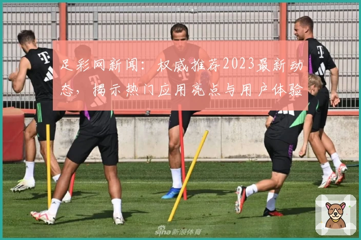 足彩网新闻：权威推荐2023最新动态，揭示热门应用亮点与用户体验解析