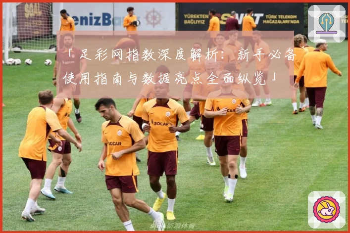 「足彩网指数深度解析：新手必备使用指南与数据亮点全面纵览」