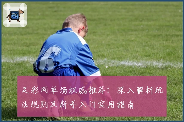 足彩网单场权威推荐：深入解析玩法规则及新手入门实用指南